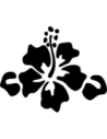 Autoaufkleber Motiv 118 in der Farbe 36_schwarz