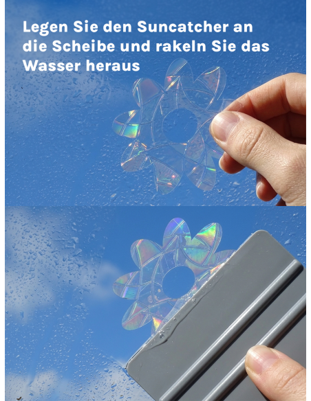 Suncatcher Blume
