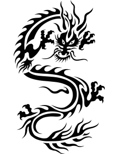 Zorniger Drache Autoaufkleber 11