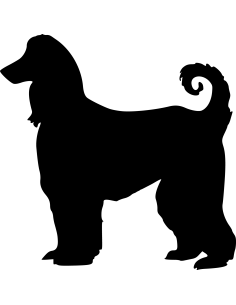 Afghanishcer Windhund Autoaufkleber 42
