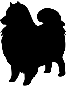 Keeshond Autoaufkleber 56