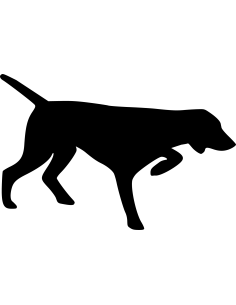 Pointer Hund Autoaufkleber 58