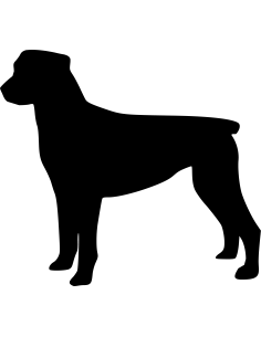 Rottweiler Hund Autoaufkleber 59