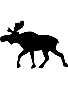 Elch Autoaufkleber 60