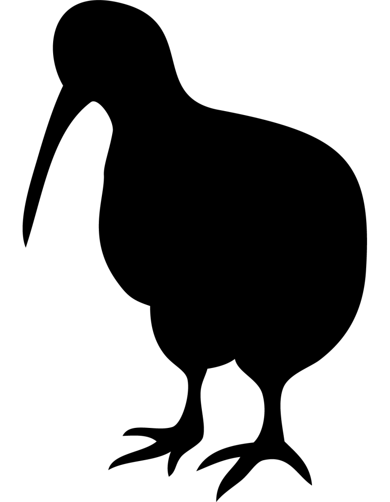 Kiwi Autoaufkleber 63