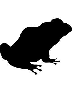 Frosch Autoaufkleber 65