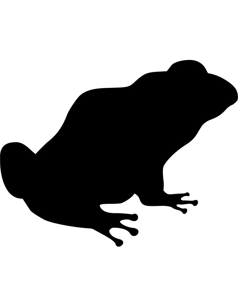 Frosch Autoaufkleber 65