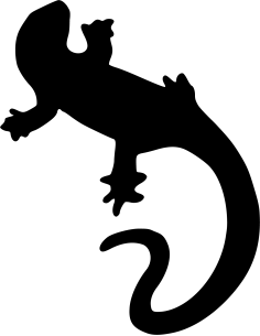 Eidechse Autoaufkleber 66