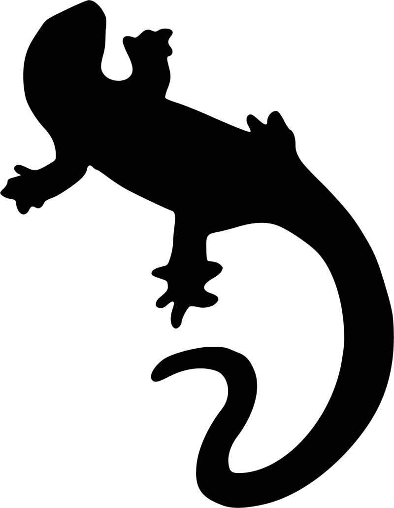 Eidechse Autoaufkleber 66