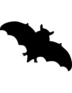 Fledermaus Autoaufkleber 69