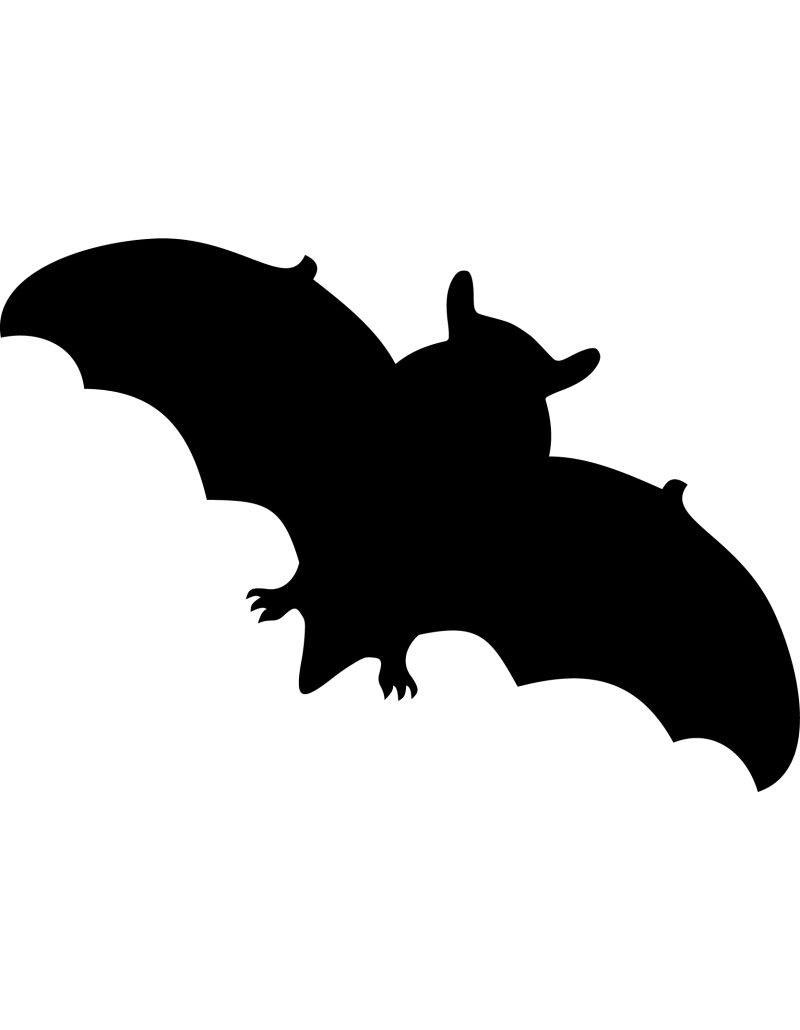 Fledermaus Autoaufkleber 69