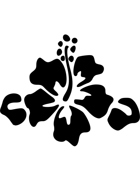 Hibiskusblüte 1 Autoaufkleber 118