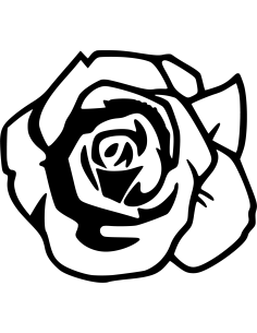 Rosenblüte Autoaufkleber 119