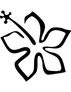 Hibiskusblüte 2 Autoaufkleber 138