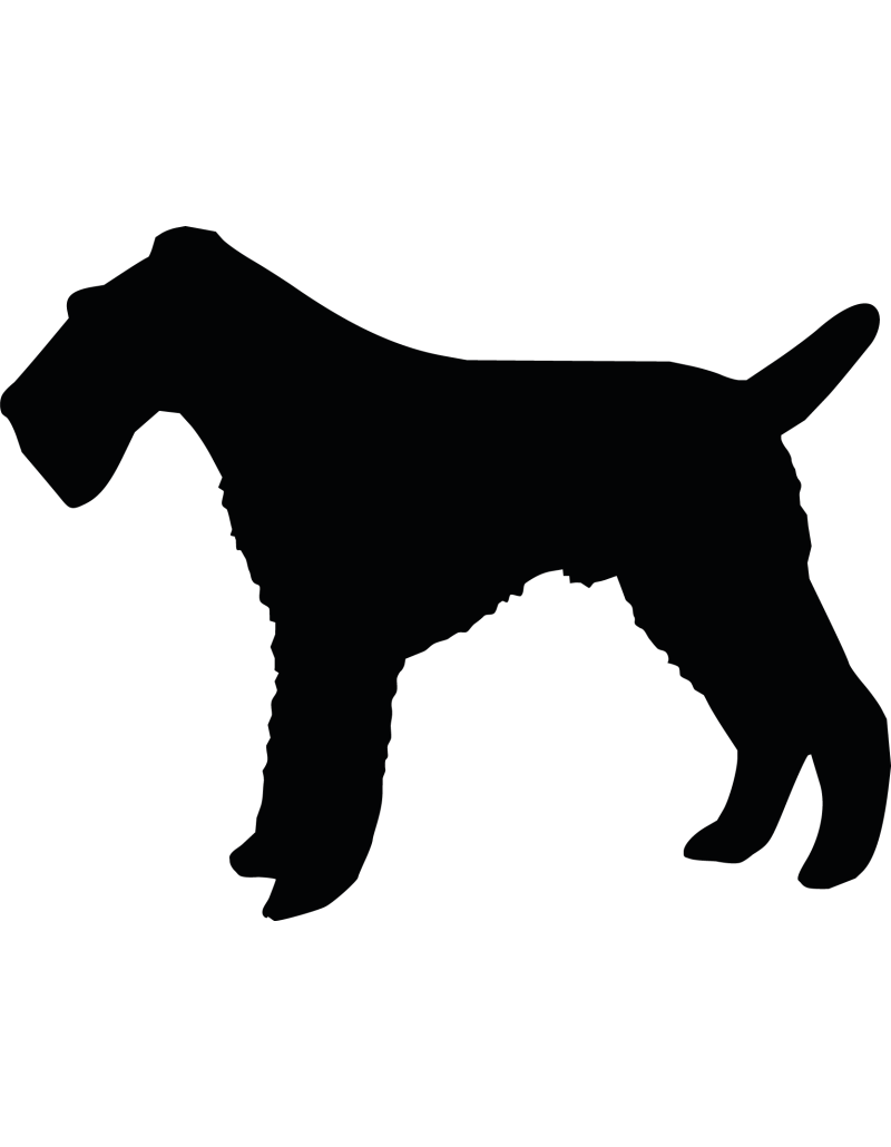 Drahthaar-Foxterrier Hund Autoaufkleber 241