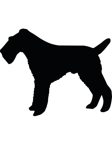 Drahthaar-Foxterrier Hund Autoaufkleber 241