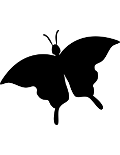 Schmetterling Autoaufkleber 249