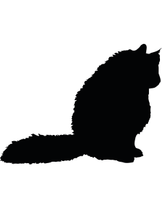 sitzende Langhaarkatze Autoaufkleber 292